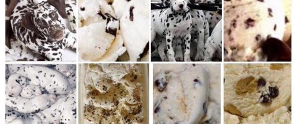 Cover for Ice Cream Or Dalmatian? Who Can Tell?! Building a Machine-Learning Powered PWA