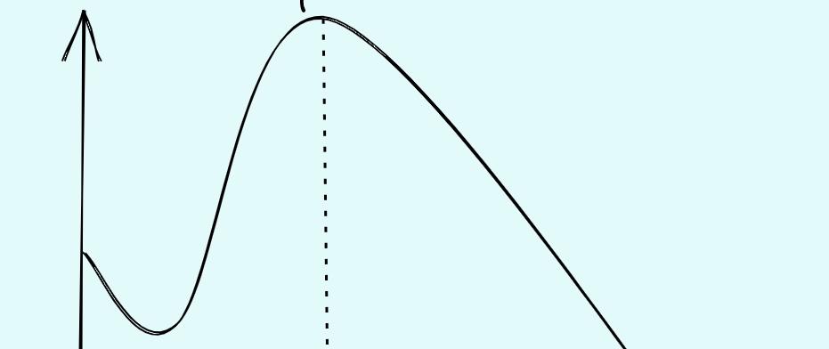 Cover for What drives Optimal Overhead?