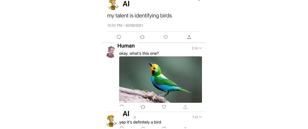 Cover for Sloan's Top 4 Newbie Memes of the Week