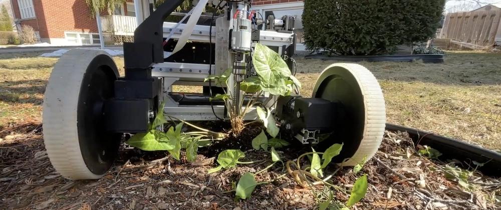 Cover for WeedWarden: Prototype autonomous lawn weeding bot