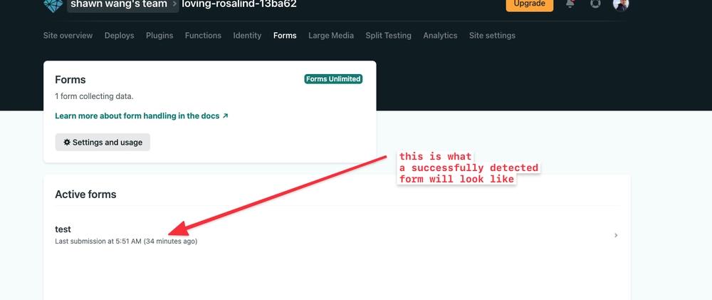 Cover for How to use SvelteKit with Netlify Forms