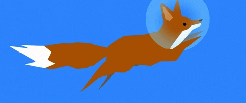 Cover for Fall Cohort Open for Registration: Front-End Foxes School